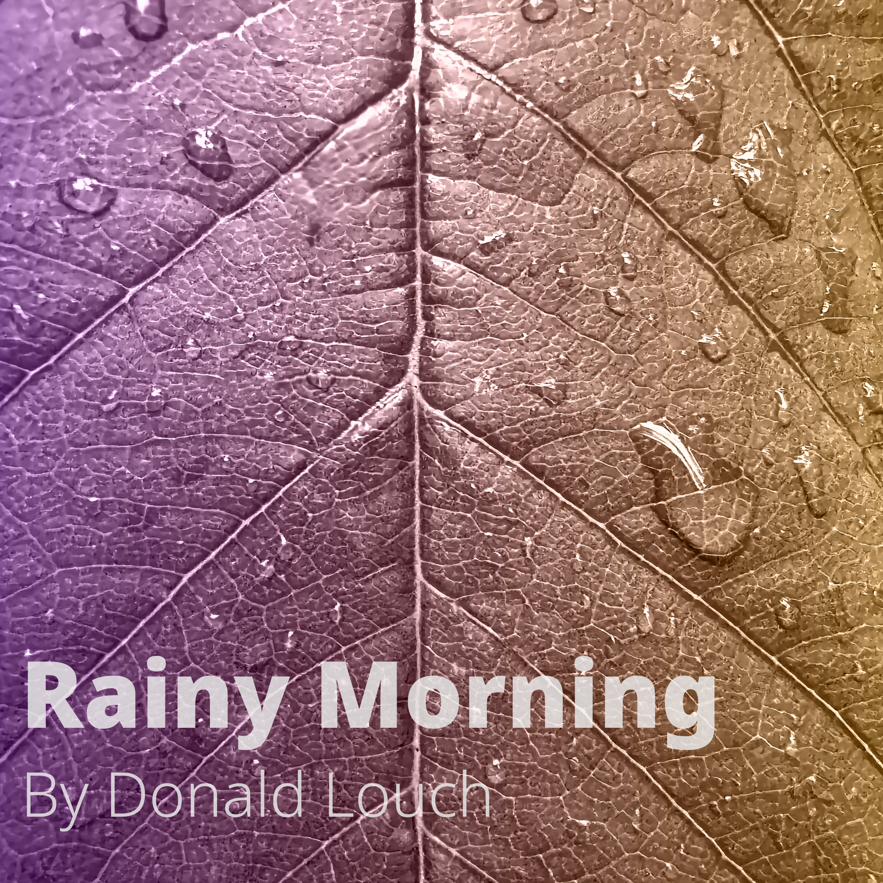 Rainy Morning